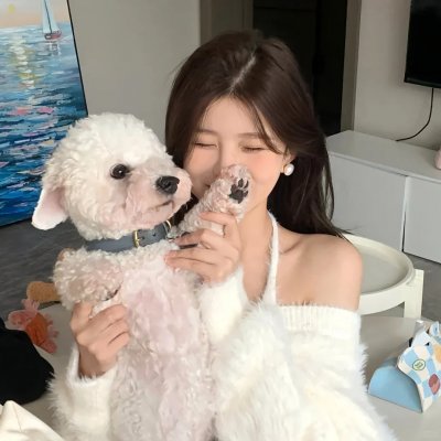 最后的骑士